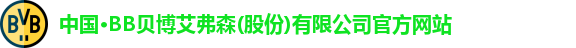 BB贝博艾弗森